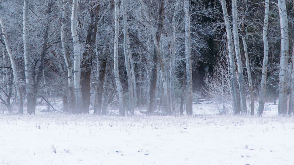 HBO and Game of Thrones Social Media Accounts Compromised