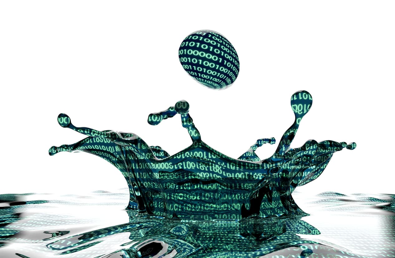 Top Four Damaging Consequences of Data Leakage
