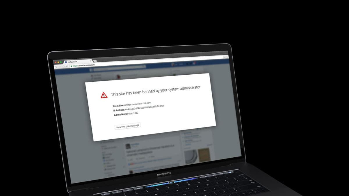 Will Blocking Social Media at Work Stop Security Threats?